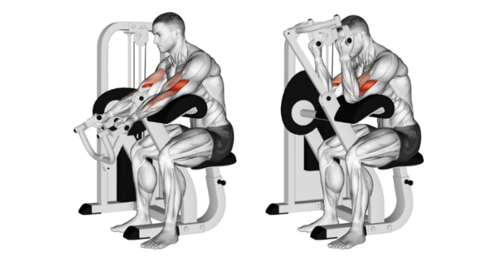 Anatomical training diagram, two frames, of a seated biceps curl machine with the arms braced on a pad. A grayscale muscle figure curls the handles inward; the biceps are highlighted in red.