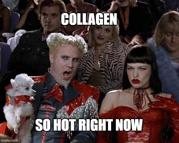The Zoolander 'so hot right now' meme. Will Ferrell as fashion designer Mugatu, wild blond hair and a shiny red outfit, clutching a tiny white poodle in a crowded fashion-show audience, captioned 'COLLAGEN' across the top and 'SO HOT RIGHT NOW' across the bottom.