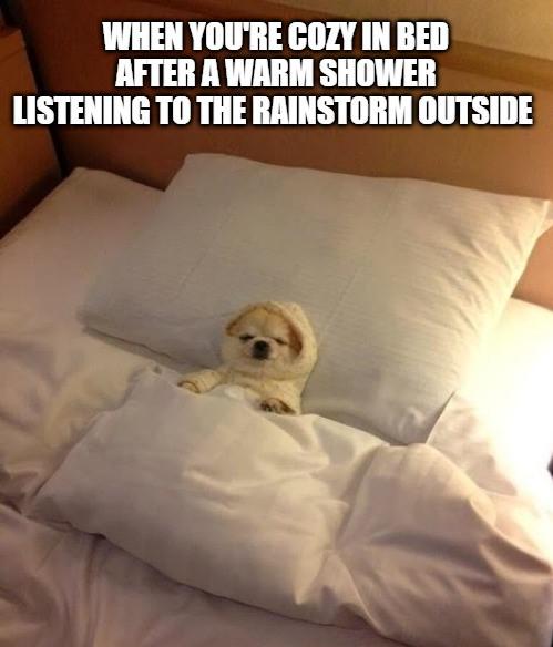 A meme of a small fluffy dog tucked into a white bed, head on a pillow and paws resting over the blanket, captioned 'WHEN YOU'RE COZY IN BED AFTER A WARM SHOWER LISTENING TO THE RAINSTORM OUTSIDE.'