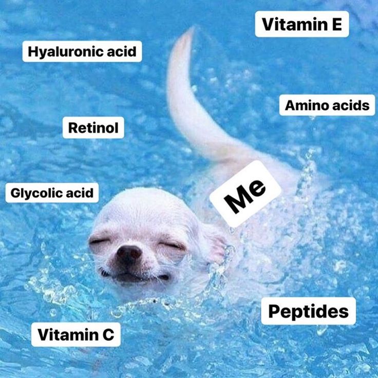A meme of a happy little white chihuahua swimming through bright blue water with its eyes closed and a blissful grin. Floating labels name skincare and supplement ingredients around it: 'Hyaluronic acid,' 'Retinol,' 'Glycolic acid,' 'Vitamin C,' 'Vitamin E,' and 'Amino acids,' with 'Peptides' near the tail and the dog itself labeled 'Me.'