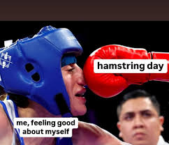 A boxing meme. A boxer in a blue helmet takes a hard right glove square to the face. The incoming red glove is labeled 'hamstring day,' and the boxer getting hit is labeled 'me, feeling good about myself.'