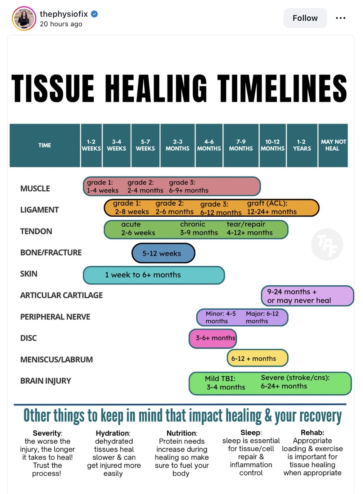 An infographic titled 'Tissue Healing Timelines' by @thephysiofix. Rows for Muscle, Ligament, Tendon, Bone/Fracture, Skin, Articular Cartilage, Peripheral Nerve, Disc, Meniscus/Labrum, and Brain Injury are plotted across a time axis running from 1-2 weeks to 1-2 years and a final 'May Not Heal' column. Ligament spans 2 weeks to 12-24+ months by grade; tendon 2 weeks to 4-12+ months; bone/fracture 5-12 weeks; skin 1 week to 6+ months. A footer lists factors that affect healing: severity, hydration, nutrition, sleep, and rehab.