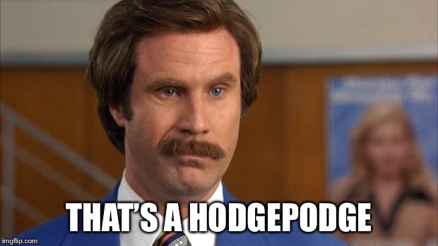 A Ron Burgundy meme: Will Ferrell in character as the mustached anchorman in a blue suit, looking earnestly at the camera, with bold caption text reading 'THAT'S A HODGEPODGE.'
