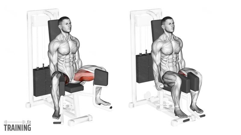 Anatomical training diagram, two frames, of a seated inner and outer thigh machine. A grayscale muscle figure squeezes the pads together with the knees; the inner-thigh muscles are highlighted in red.