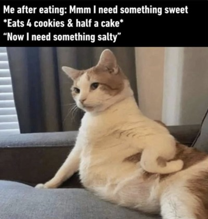 A meme of a chunky orange-and-white cat leaning back against a couch like a person, round belly on display, with black caption bars reading: 'Me after eating: Mmm I need something sweet. *Eats 4 cookies & half a cake* Now I need something salty.'