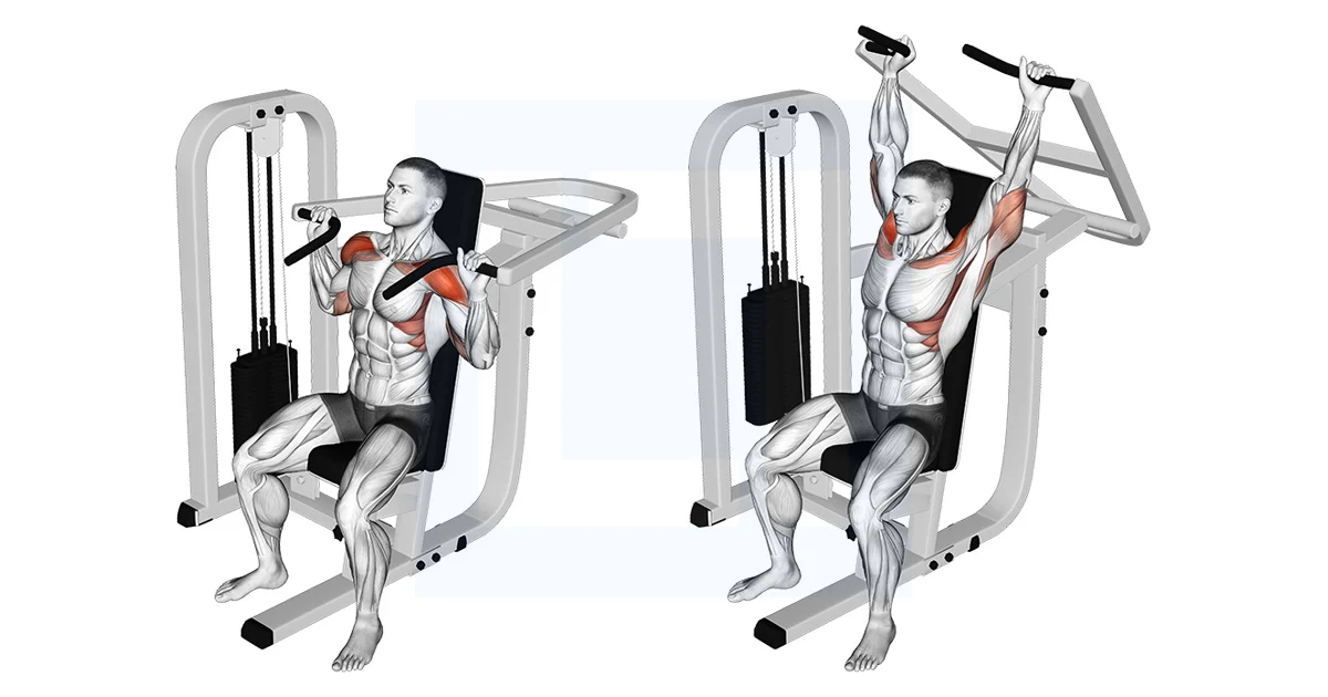 Anatomical training diagram, two frames, of a seated shoulder press machine. A grayscale muscle figure presses the handles from shoulder height to overhead; the deltoids are highlighted in red.