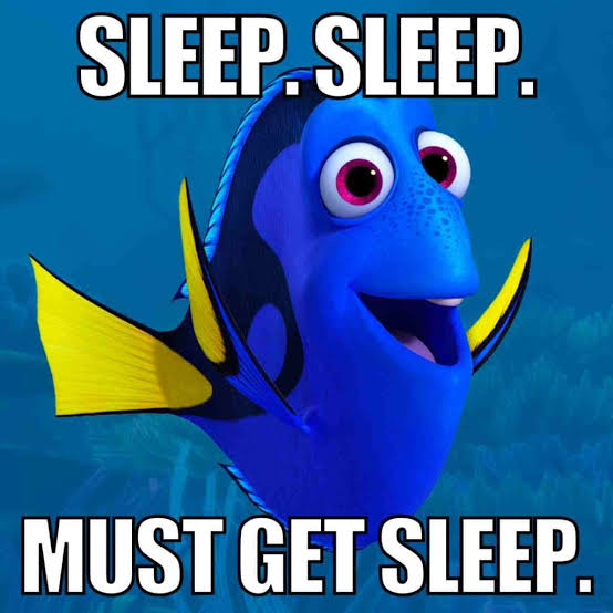 A Finding Nemo meme: Dory, the wide-eyed blue tang fish, grins against a blue underwater background. Bold white text reads 'SLEEP. SLEEP.' across the top and 'MUST GET SLEEP.' across the bottom.