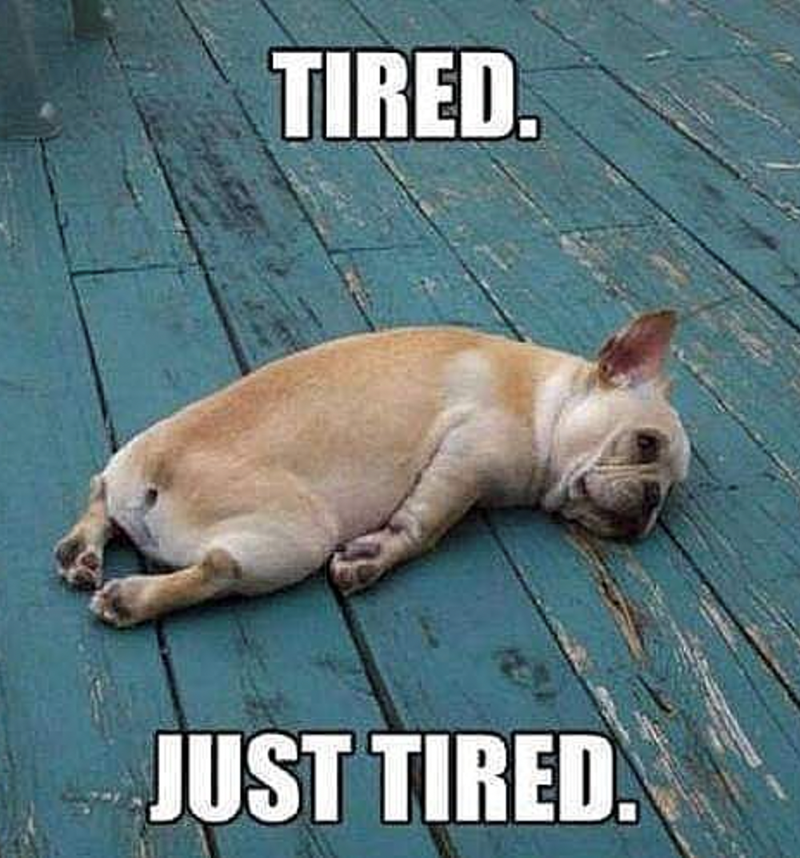 A meme of a French bulldog lying completely flat on its side on a teal wooden deck, eyes closed, with white text reading: 'TIRED. JUST TIRED.'