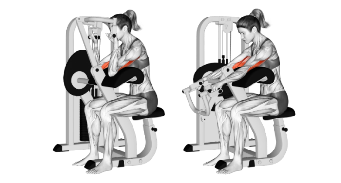 Anatomical training diagram, two frames, of a seated triceps extension machine. A grayscale muscle figure pushes the handles down and away; the triceps are highlighted in red.